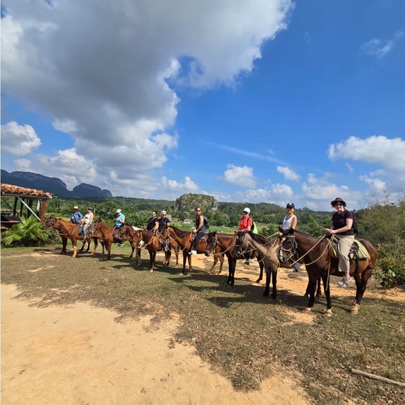 Meet your Posher, Caroline - Picture 7 of 15